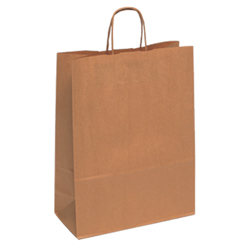 Extra Large Brown Kraft Paper Bag